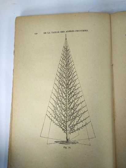 null J.-A. Hardy et A.-F.Hardy . Traité de la taille des arbres fruitiers.
Paris...