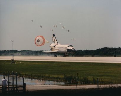 null Nasa. Mission de la navette spatiale Columbia (STS-90). Un essain d'oiseaux...