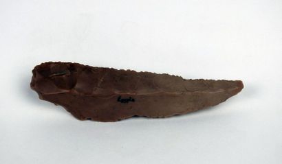 null Couteau en silex avec retouches le long de la lame

14,5 cm

Egypte époque prédinastique,...