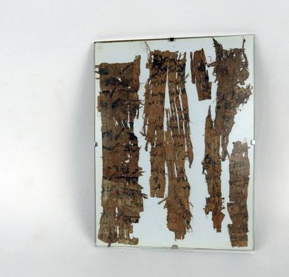 null Planche composée de 6 fragments de papyrus inscrits de hieroglyphes

24 x 18...
