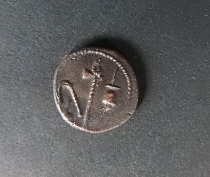 null Représentation d’une monnaie de César.