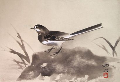K.Morito (XX°): «Oiseau sur un rocher» Aquarelle au lavis sur papier. Signée en bas...