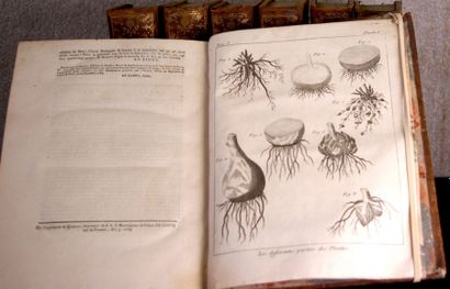 null «Dictionnaire des jardiniers» traduit de l'anglais par Philippe Miller (1691-1771)....