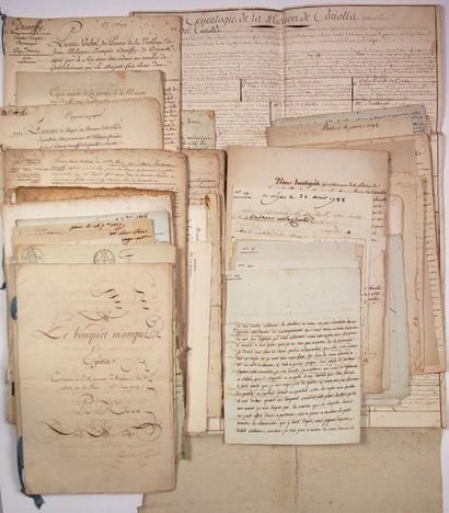 null FAMILLE DE CORIOLIS. Plus de 112 lettres ou pièces, du XVIIIe (1769) au début...