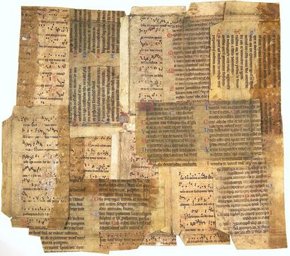 null ENLUMINURES du XVe Siècle - 12 Fragments de page calligraphiée et enluminée...