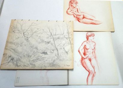 null Gaston Coppens (1909-2002) : 3 carnets regroupant 60 dessins au crayon et crayon...