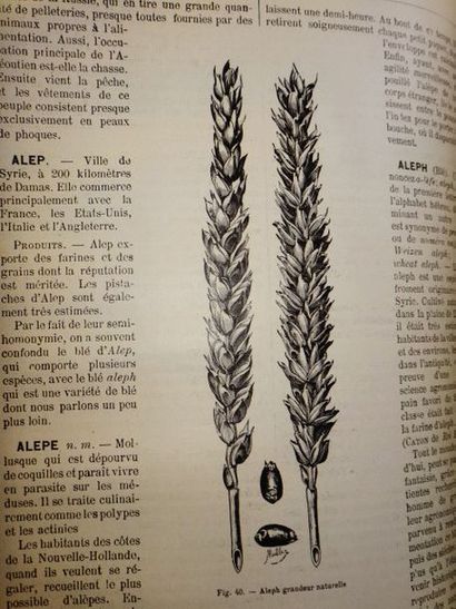 null FAVRE, Joseph. Dictionnaire Universel de Cuisine et d'Hygiène Alimentaire. Paris,...