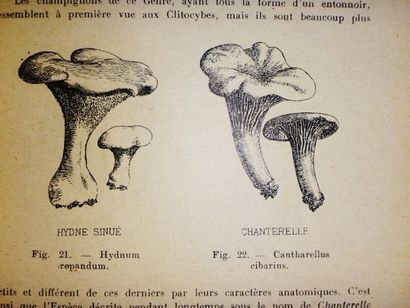 null BURET, F. Le Champignons, Poison ou Aliments. Paris, Vigot Frères, 1925. X et...