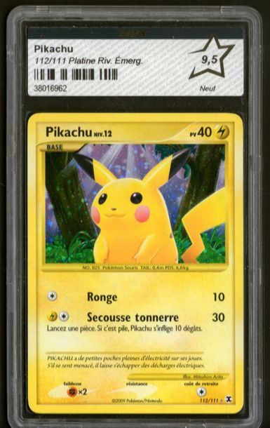 Puelo Pikachu
Bloc Platine Set Rivaux Emergeants
Carte pokémon secrète 112/111
Carte...