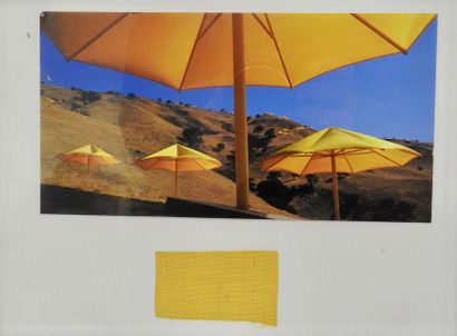 null Christo (ne? en 1935) et Jeanne-Claude (1935-2009)

The Umbrellas Japon-USA...