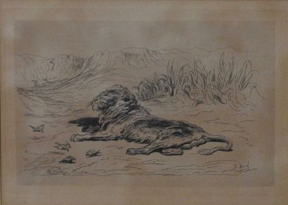 null Gustave Doré (1832-1883), d’apres
Lion couché
Eau-forte sur papier signé dans...
