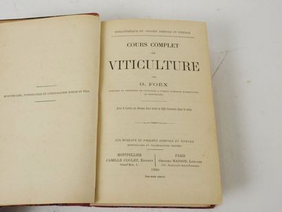 null FOËX, Gustave. Cours Complet de Viticulture.

Montpellier, Camille Coulet et...