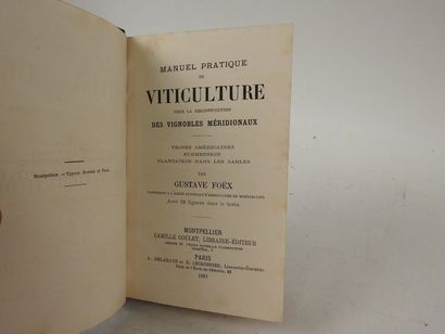 null FOËX, Gustave. Manuel Pratique de Viticulture pour la reconstitution des vignobles...