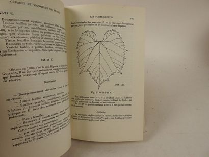 null GALET, Pierre. Cépages et Vignobles de France.

Montpellier, Imp. Du Paysan...