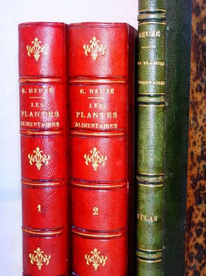 null HEUZE, Gustave. Les Plantes Alimentaires. Avec Atlas.

Paris, Librairie Agricole,...