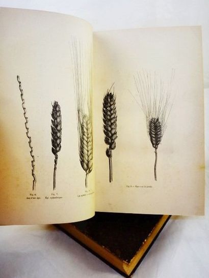 null HEUZE, Gustave. Les Plantes Alimentaires. Avec Atlas.

Paris, Librairie Agricole,...