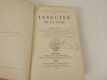 null MAYET, Valérie. Les Insectes de la Vigne.

Montpellier, Camille Coulet ; Paris,...