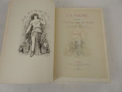 null BERTALL. La Vigne. Voyage autour des Vins de France. Etude Physiologique, Anecdotique,...