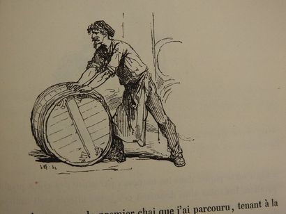 null BERTALL. La Vigne. Voyage autour des Vins de France. Etude physiologique, anecdotique,...