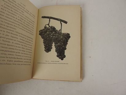 null SAPORTA, Antoine de. La Vigne et le Vin dans le Midi de la France.

Paris, Librairie...