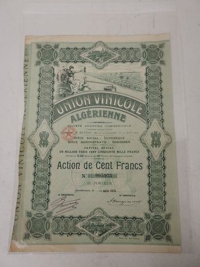 null Union Vinicole Algérienne, action de 100 Francs, Dunkerque 1912, vignoble