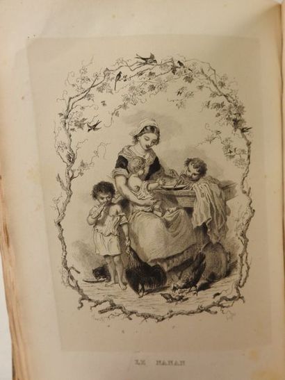 null BRILLAT-SAVARIN Anthelme. Physiologie du goût.

Paris, Gabriel de Gonet, (1848)?;...