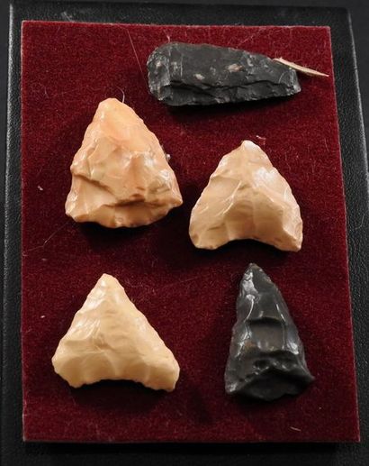 null Cinq pointes de flèches néolithiques. Pierres diverses.
L: 2 à 3 cm.