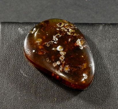 null Ambre ancien. Burmite.
Considéré comme le plus vieil ambre du monde datant d'environ...