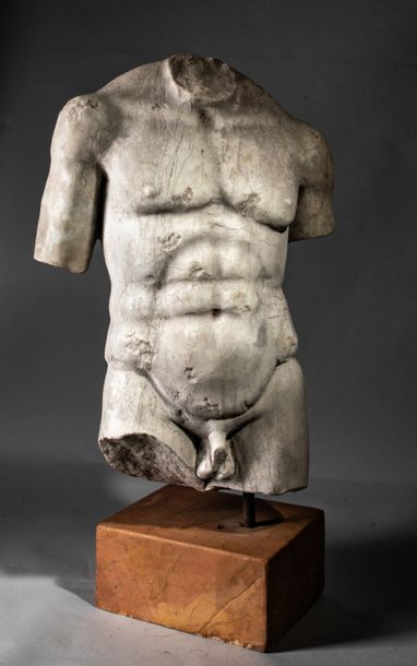  Torse masculin athlétique nu probablement d'une statue d'Hercule Inspiré des canons...