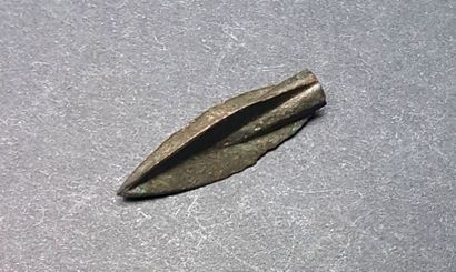 null Flêche à douille et ailerons

Bronze 3,1 cm

Age du Bronze final