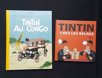 null * HERGE

Deux volumes sous blister, Tintin au congo, et Tintin chez les bel...