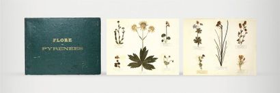 null BORDÈRE Flore des Pyrénées [Herbier Naturel]. 1885. Album in-4 oblong : carte...