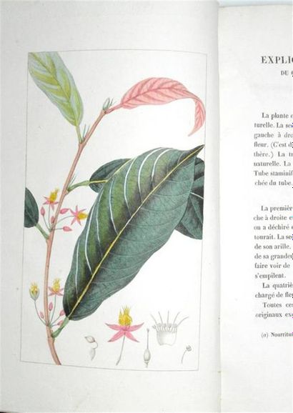 null DELCHER (Eugène) Recherches Historiques et Chimiques sur le Cacao et ses diverses...