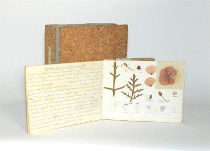 null HERBIERS Cours (?) de Botanique. vers 1900. Cahier de feuilles canson in-8 oblong,...