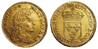 null Louis XIV. Louis d'or à l'écu 1690 A. Paris. Flan neuf. 
A/ LUD.XIIII.D.G (soleil)...