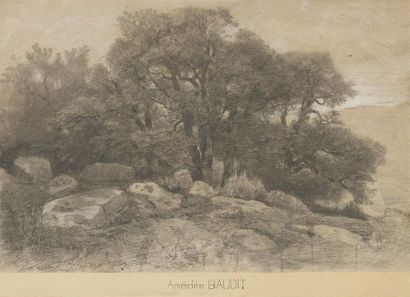 null Amédée BAU DIT (1827-1890)
« Rochers en forêt »
Dessin au fusain et légers rehauts...