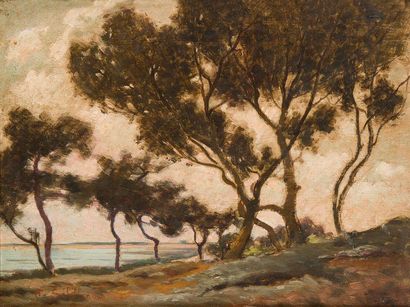 Paul SEBILLEAU (1847-1907)
« Etude d'arbres,...