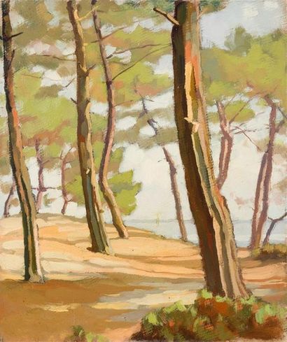 null Pierre-René RODES (1896-1971)
« Les pins »
Huile sur carton.
45,5 x 38 cm