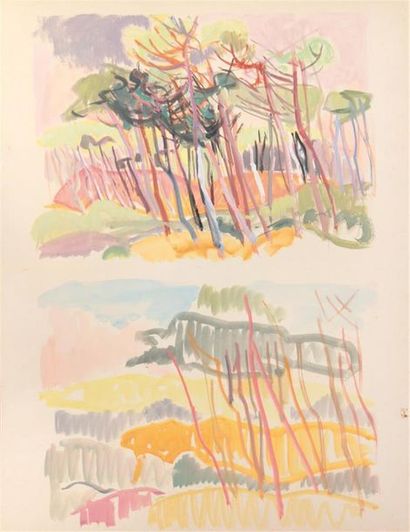 null Attribué à Edmond BOISSONNET (1906-1995)
« Études de pins »
Gouache sur papier...