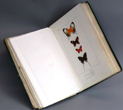 null LEPIDOPTERES EXOTIQUES, 
Lucas, 1873. Un volume. Couverture griffée et piquée....