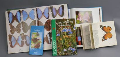 null PAPILLONS, 
P. Smart, état A2 ; Magie des papillons, Vilo ; Papillons, Gründ...