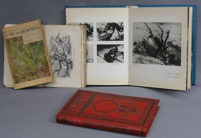 null La vie des araignées, Fabre, 1937; Les papillons, Maindron, Hachette, 1887 broché,...