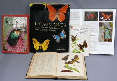 null ENCYCLOPEDIE
Encyclopédie des insectes, Gründ; Joyaux ailés, Hachette; Sauvons...