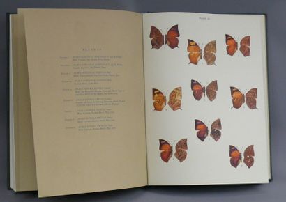 null BUTTERFLIES OF THE AMERICAN TROPICS:
the genus Anaea, Comstock, AMNH, 1961....