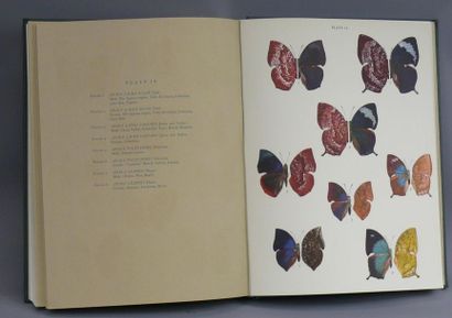 null BUTTERFLIES OF THE AMERICAN TROPICS:
the genus Anaea, Comstock, AMNH, 1961....
