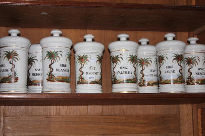 null Set of eight porcelain medicine jars with painted snake decoration. XIXth (Lack...