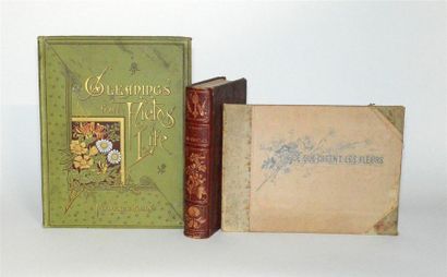 null HERBIERS - BOTANIQUE
Cours (?) de Botanique. vers 1900. Cahier de feuilles canson...