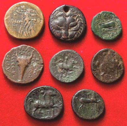 null Grèce. Lot de 8 bronzes divers. Rhégion, Macédoine, Antipolis, Pont Amisos,...