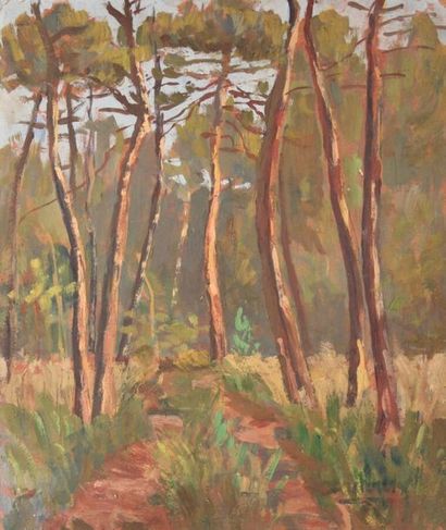 null D. DUFOURG (1905-1951)
Chemin dans les pins
Huile sur isorel signée en bas à...