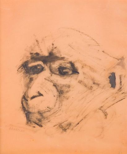 null Anny FOURTINA (1912-1967)
Tête de singe.
Dessin à l'encre sur papier calque,...